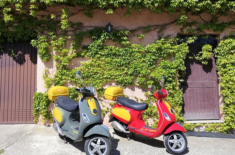 Vakantiehuis in San Venanzo