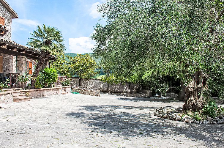 Vakantiehuis Olivo secolare