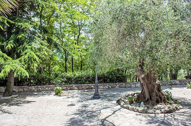 Vakantiehuis Olivo secolare