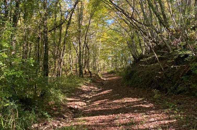 Vrijstaande woning in Penna San Giovanni