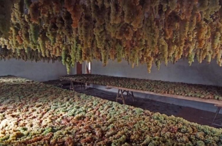 Appartement Agritourismus Vigne di Pace