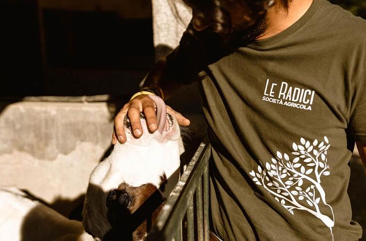 Appartement Le Radici - Zafferano - Entspannen im Herzen von