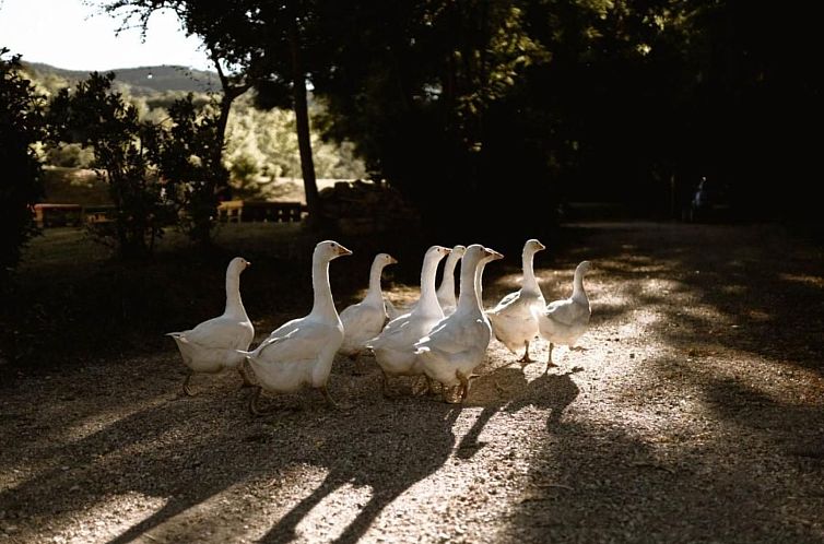 Appartement Le Radici - Zafferano - Entspannen im Herzen von