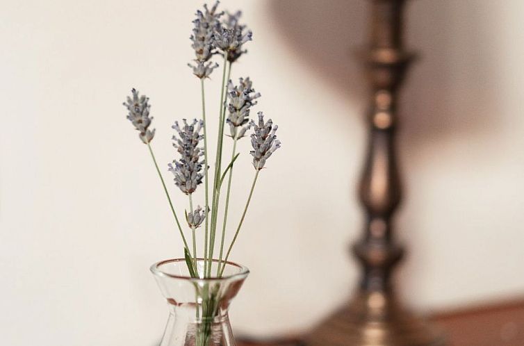 Appartement Mit Mezzanin und Schwimmbad, in einem Bauernhaus