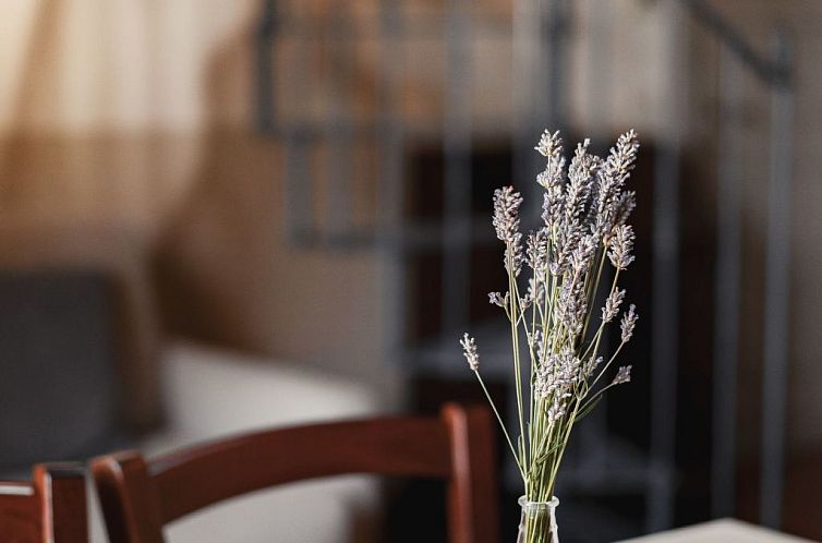 Appartement Mit Mezzanin und Schwimmbad, in einem Bauernhaus