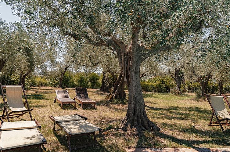 Appartement Mit Mezzanin und Schwimmbad, in einem Bauernhaus