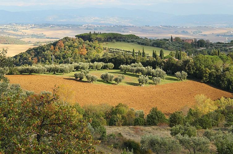 Appartement Wohnung Sonnenaufgang in Monte Vibiano Vecchio
