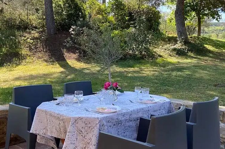 Il Tulipano