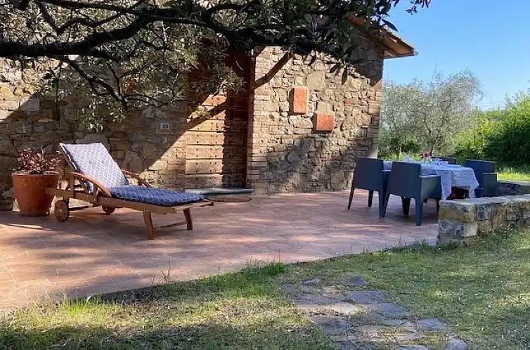 Il Tulipano