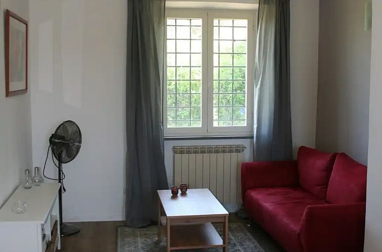 Il Tulipano