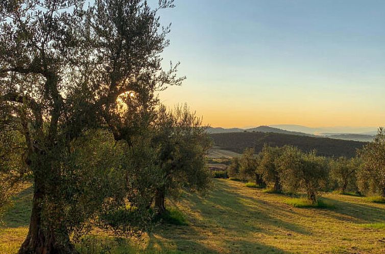 Vrijstaande woning in Panicale
