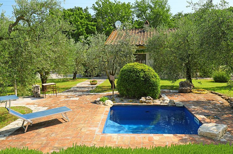 Guest house 09618701 - Holiday property Umbria / Marché - Vakantiehuis Nest
