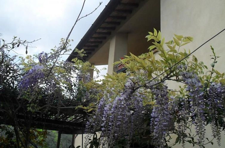 Appartement Wohnung im Agrotourismus in Bevagna