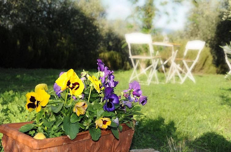 Appartement Wohnung im Agrotourismus in Bevagna