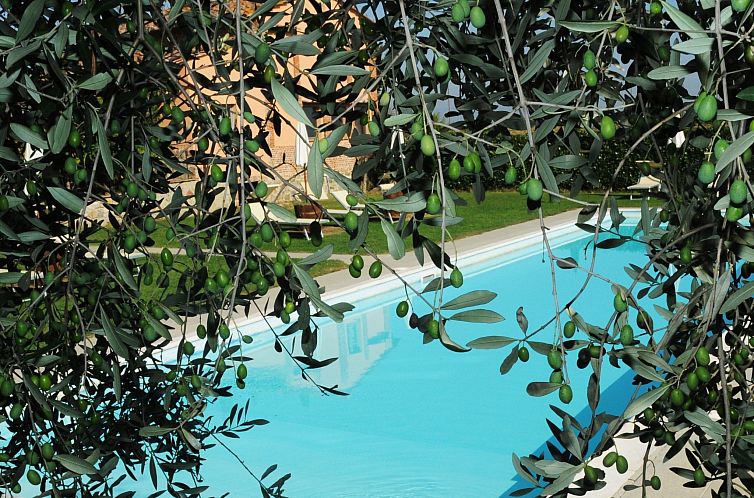 Appartement Wohnung in Castiglione Del Lago mit Garten, geme