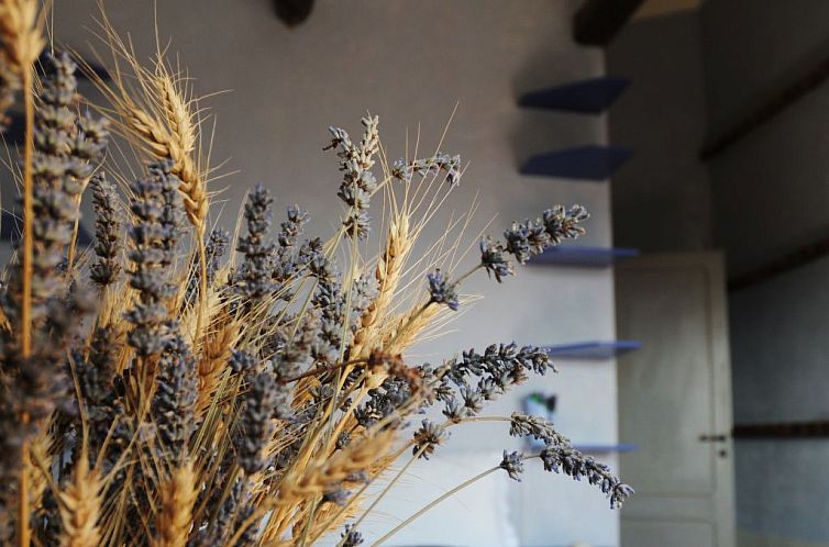 Appartement Appartement in Castiglione Del Lago mit Grill, T
