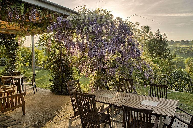 Vakantiehuis Haus in Ostra mit privatem Pool
