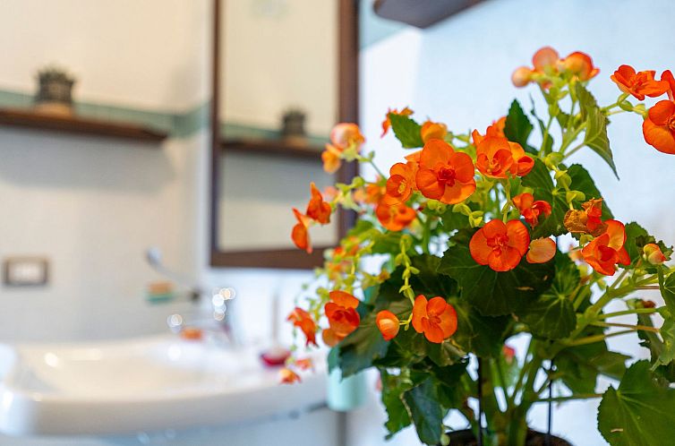 Appartement Wohnung 'Girasole' mit Schwimmbad