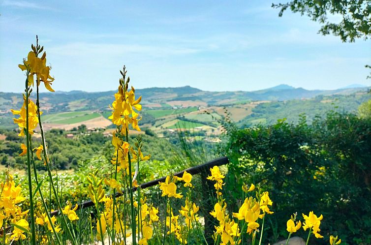 Appartement Charmante Wohnung, einzigartiges Panorama