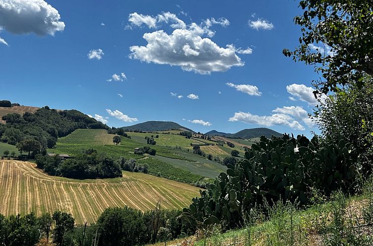 Vrijstaande woning in Arcevia