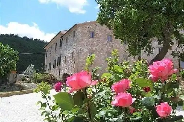 Guest house 0962437 - Apartment Umbria / Marché - Papavero