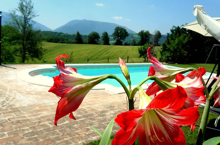 Appartement Iris in Cagli