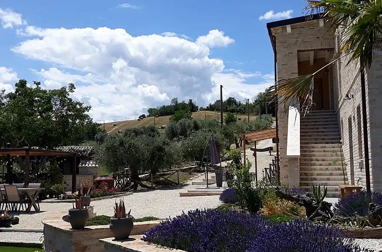 Il Olivo