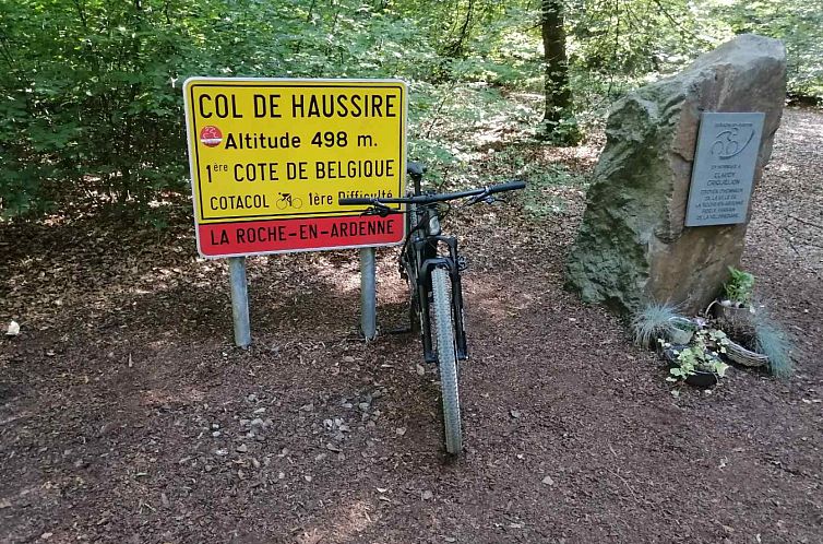 Luxe 11 persoons vakantiehuis in de Ardennen - met zwembad,