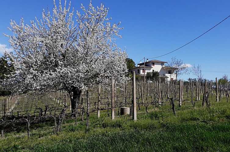 Vrijstaande woning in Belmonte Piceno