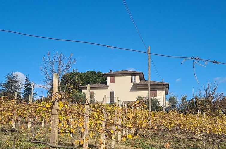 Verblijf 09640504 - Vakantiewoning Umbrië / Marche - Vrijstaande woning in Belmonte Piceno