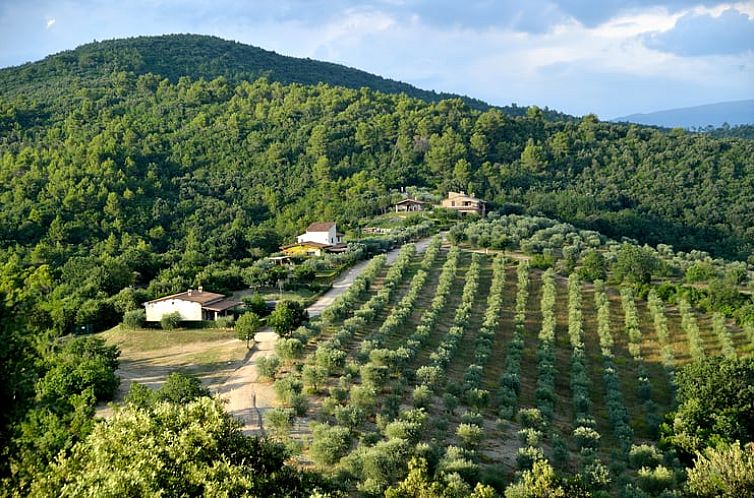 Huisje in Gualdo Cattneo