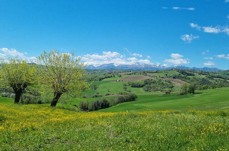 Vrijstaande woning in Loro Piceno