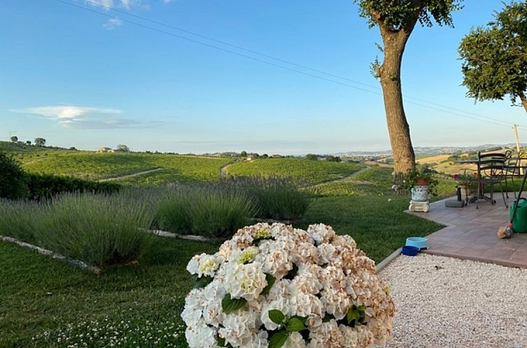 Vrijstaande woning in San Marcello