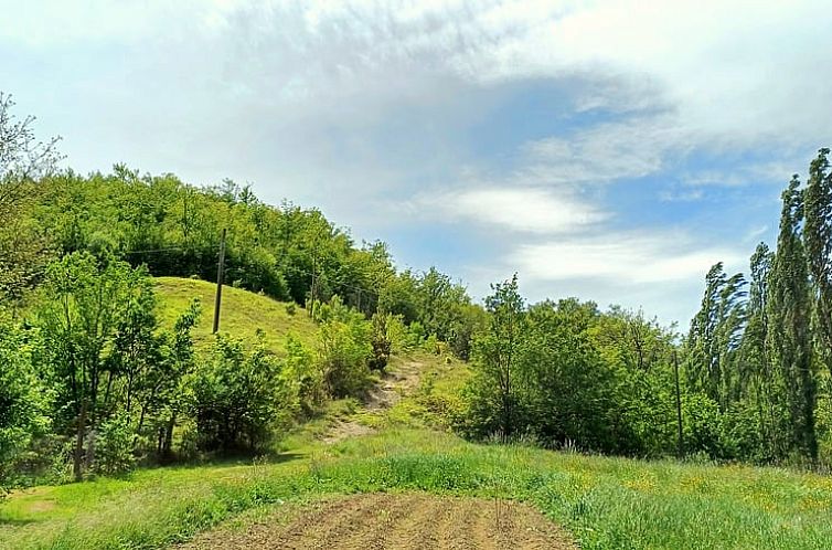 Huisje in Pietralunga