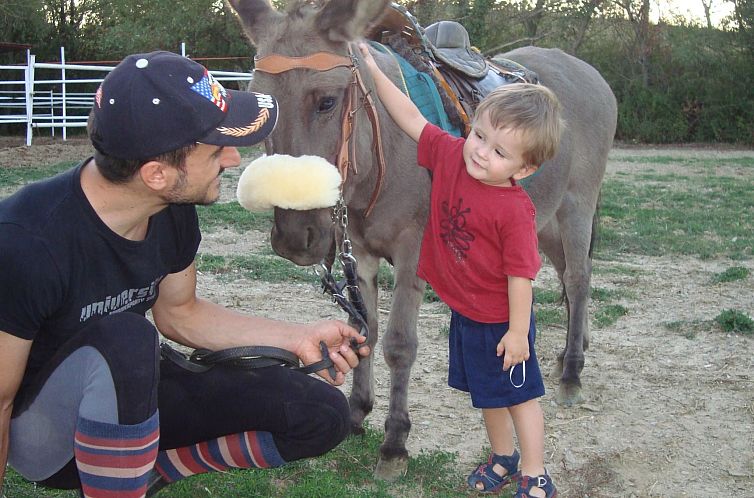 Appartement Wohnung "Fattoria Il Bruco