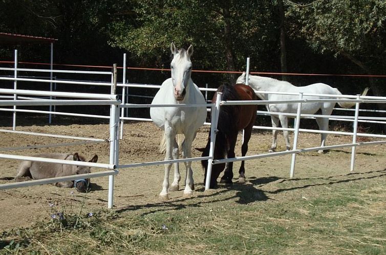 Appartement 'La Stalla' mit Terrasse