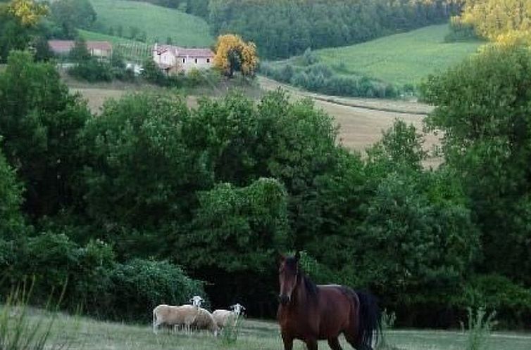 Appartement Ferienapartment Baita