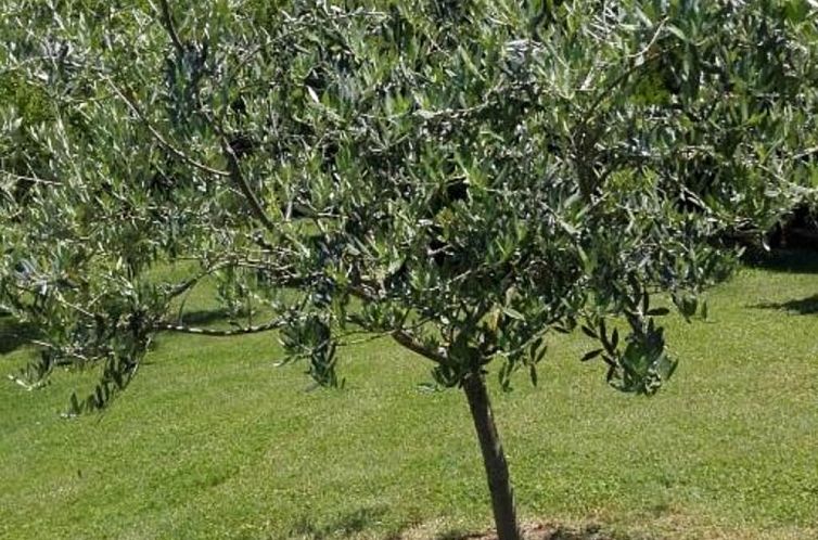 Appartement Rustikale Eleganz mit Blick auf die umbrische La