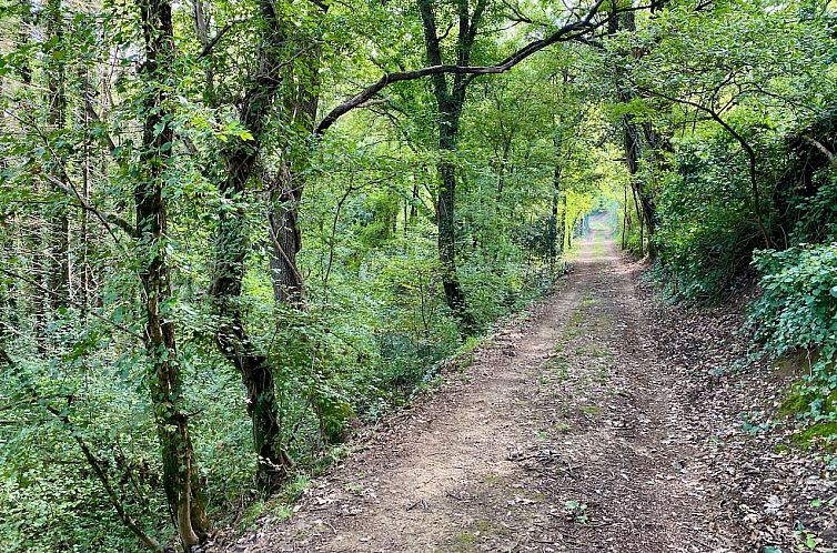 Unterkunft 0966726 - Ferienhaus Umbrien / Marken - Vrijstaande woning in Perugia