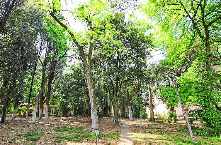 Appartement Montecorneo