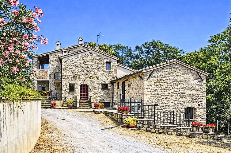 Guest house 0966732 - Apartment Umbria / Marché - Appartement La Collina degli Ulivi