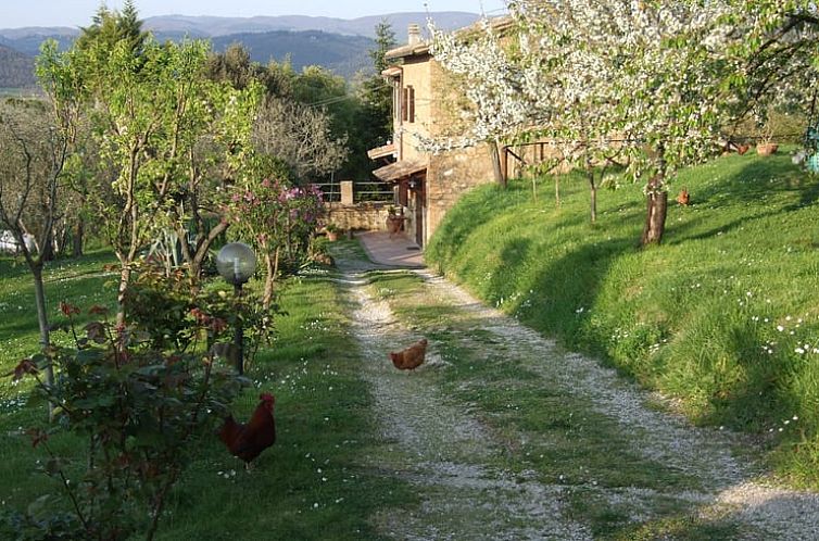 Vacation cottage in Orvieto, Umbria, Italy, surrounded by nature and flowering trees.