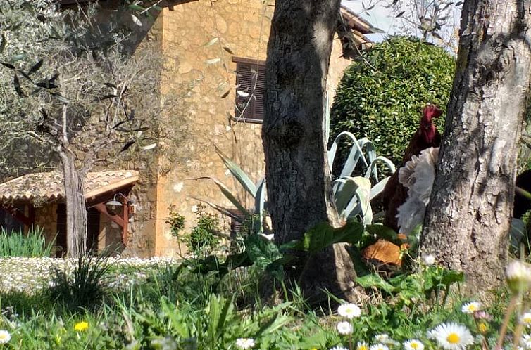 Vakantiehuisje in Orvieto