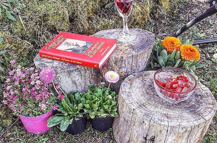 Vakantiehuisje in Orvieto