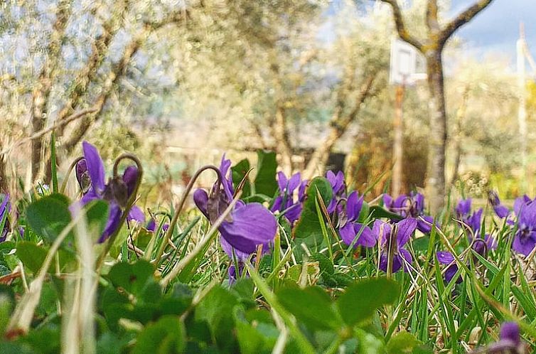 Vakantiehuisje in Orvieto