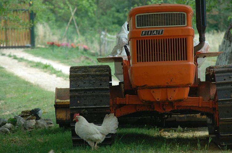 Appartement Unabhaengige Wohnung in Amelia mit Garten, Grill