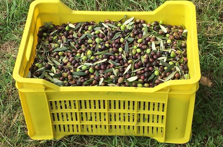 Appartement Unabhaengige Wohnung in Amelia mit Grill und Gar