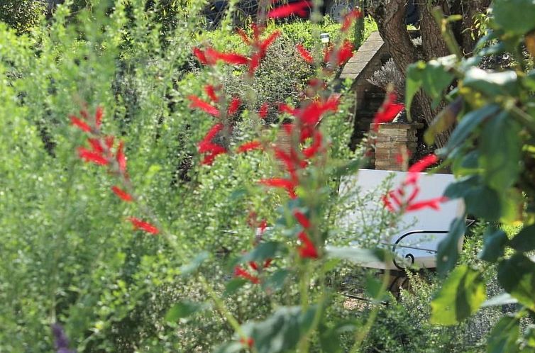 Appartement Apartment MONTONE