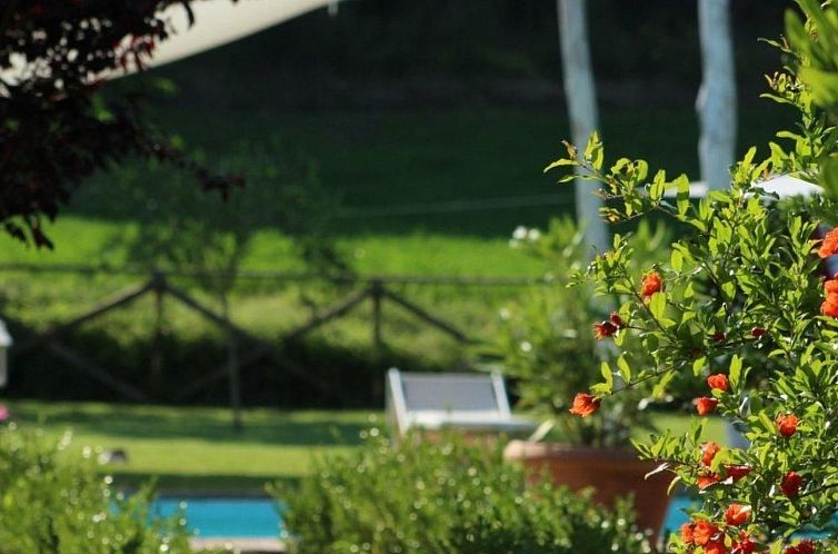 Appartement Apartment MONTONE