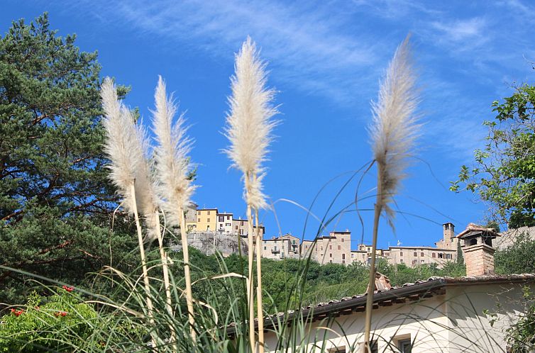 Appartement Apartment MONTONE